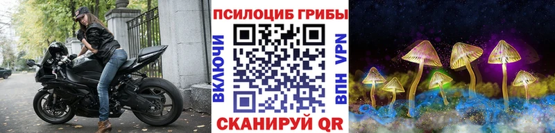 Галлюциногенные грибы мицелий Серов